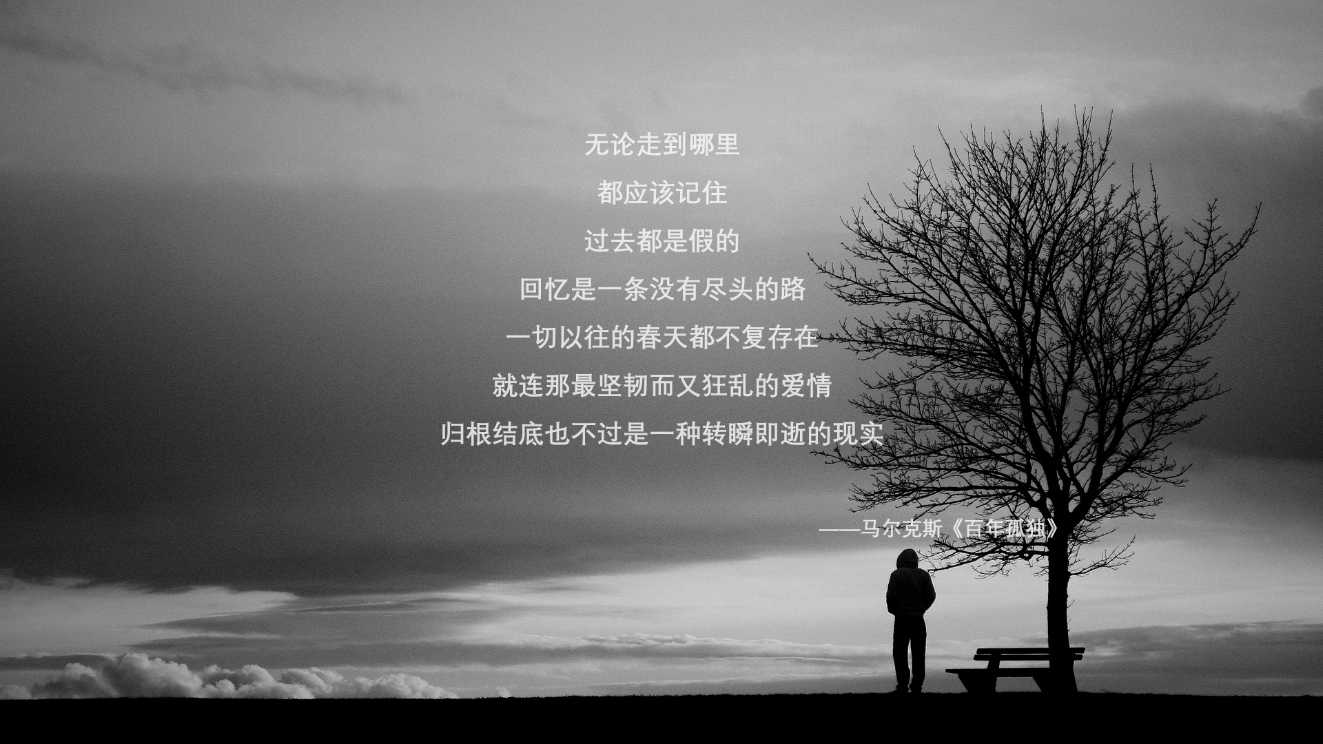 中美划水对称性评分对比发布,中美滑水对抗赛