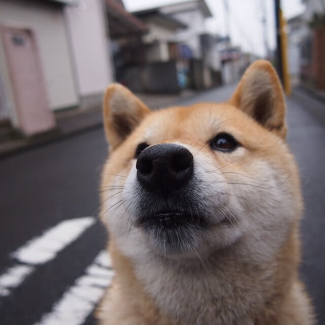 球队瞄准洲际强队对抗能力再升级,洲际对抗赛赛程