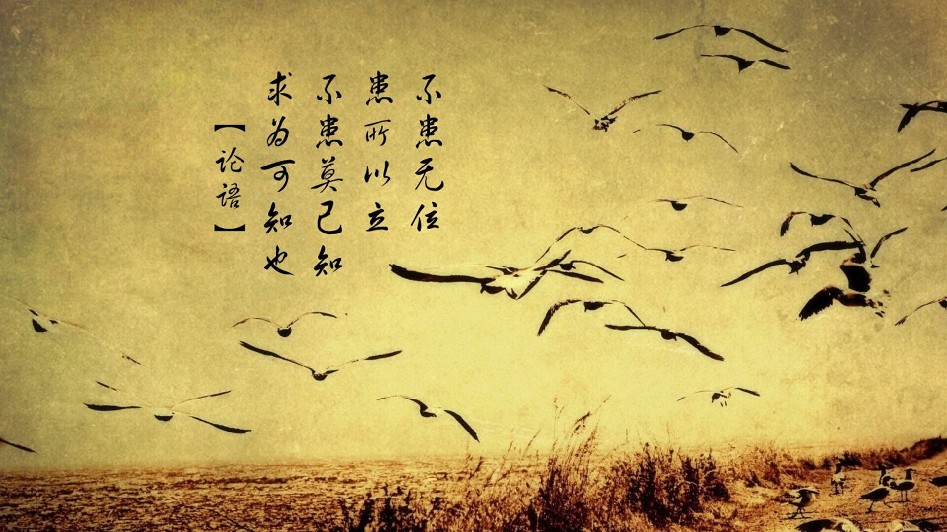 奇库诺娃精准转身成胜负分水岭,库奇fanatic